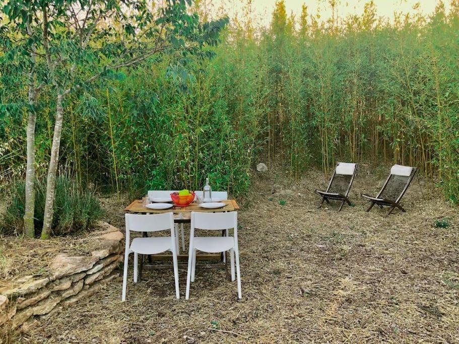 Eco Tiny Home & Office For Digital Nomads Vallmoll Exterior photo