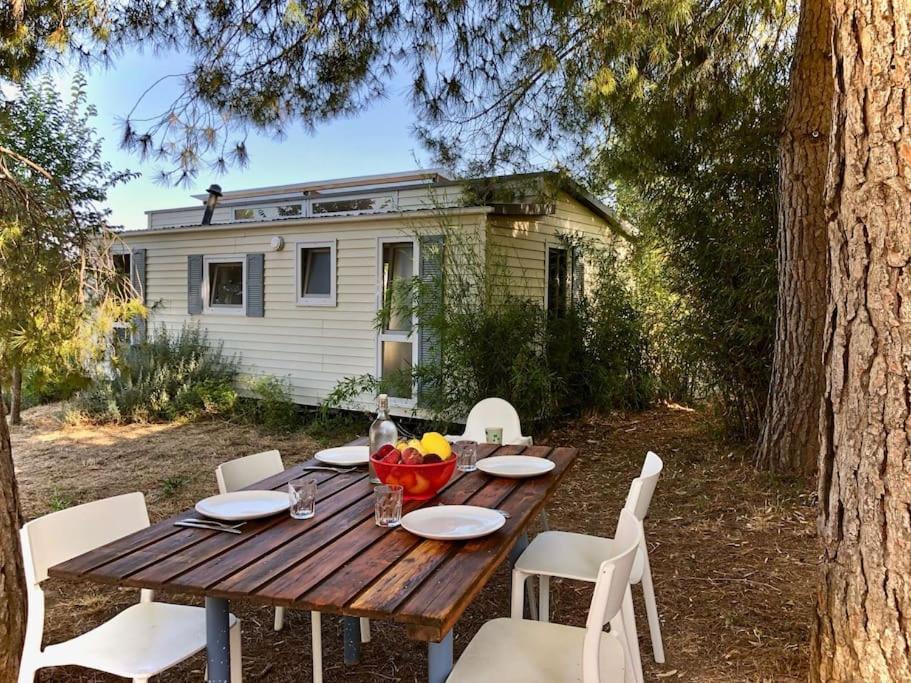 Eco Tiny Home & Office For Digital Nomads Vallmoll Exterior photo